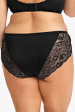 Elegant Tulle and Lace Classic Cut Ladies Panties