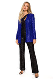 Transformative Loose Sequin Jacket for Any Occasion