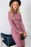 Fitted Long Sleeve Turtleneck Dress for Everyday Style