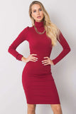 Fitted Long Sleeve Turtleneck Dress for Everyday Style