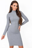 Fitted Long Sleeve Turtleneck Dress for Everyday Wear