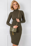 Chic Turtleneck Dress with Long Sleeves for Everyday Style