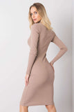 Fitted Long Sleeve Turtleneck Dress for Everyday Wear