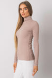 Fitted Long Sleeve One-Color Turtleneck Top