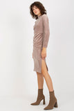 Elegant Long Sleeve Velour Dress with Stand-Up Collar