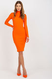 Fitted Long Sleeve Turtleneck Dress for Everyday Wear