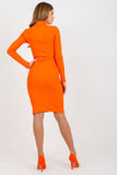 Fitted Long Sleeve Turtleneck Dress for Everyday Wear