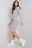Elegant Pencil Cut Dress with Long Sleeves and Round Neckline