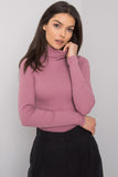 Fitted Long Sleeve One-Color Turtleneck Top