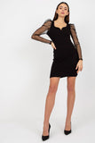 Pencil Cut Dress with Long Transparent Sleeves