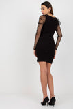 Pencil Cut Dress with Long Transparent Sleeves