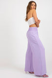 High-Waisted Seamed Pants with Decorative Creases