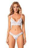 Delicate Embroidered Mesh Lingerie Set for Special Occasions
