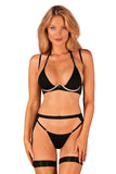Selinne Sensual Bra, Garter Belt & Thong Set