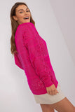 Openwork Casual Sweater with Round Neckline