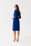 Charming Pencil Cut Dress with Elegant Details