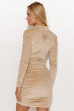 Chic Mini Velour Dress with Long Sleeves & Turtleneck