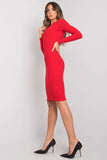 Pencil Cut Dress with Long Sleeves and Round Neckline