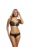 Elegant Lace and Mesh Soft Cup Bra for Curvy Comfort