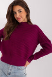 Cozy Long Sleeve Low Turtleneck Women's Sweater