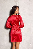 Elegant Shiny Mini Dress with Puff Sleeves and Zippered Side
