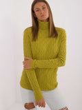 Lacy Turtleneck Sweater - Elegant Everyday Wear